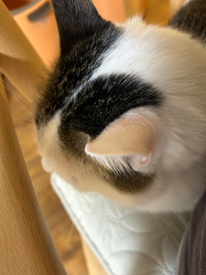 blog25060104.jpg