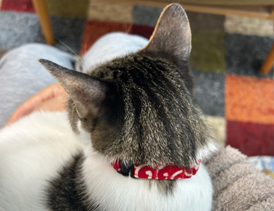 blog25060105.jpg